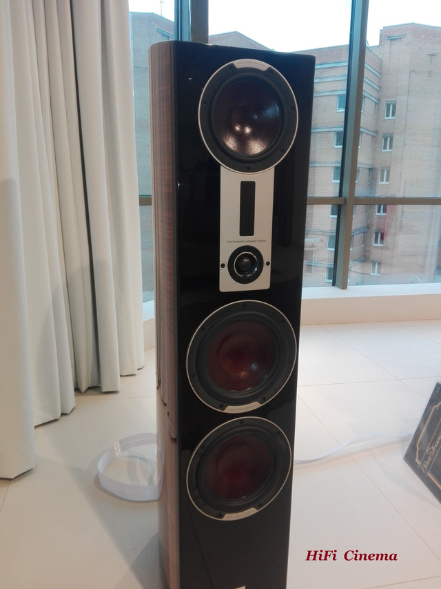 DALI Days in Ukraine - 2017 (6)