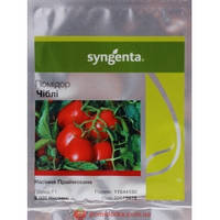 Насіння томата Чіблі F1 (Syngenta), 2 500 насінин — середньостиглий (70 днів), червоний, детермінантний, овальний