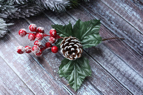 Новорічні ягоди, листочки, гілочки