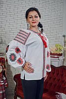 Сучасна Вишиванка та традиційна.