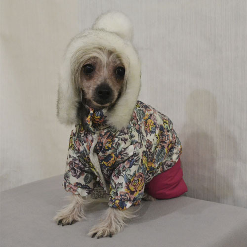 Костюм Pet Fashion Герда S (27-30 см) для собак  