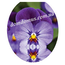 Сидіння м'яке з кришкою для унітаза Aqua Fairy, UE1608