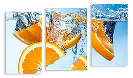 Модульна картина шматочки апельсина