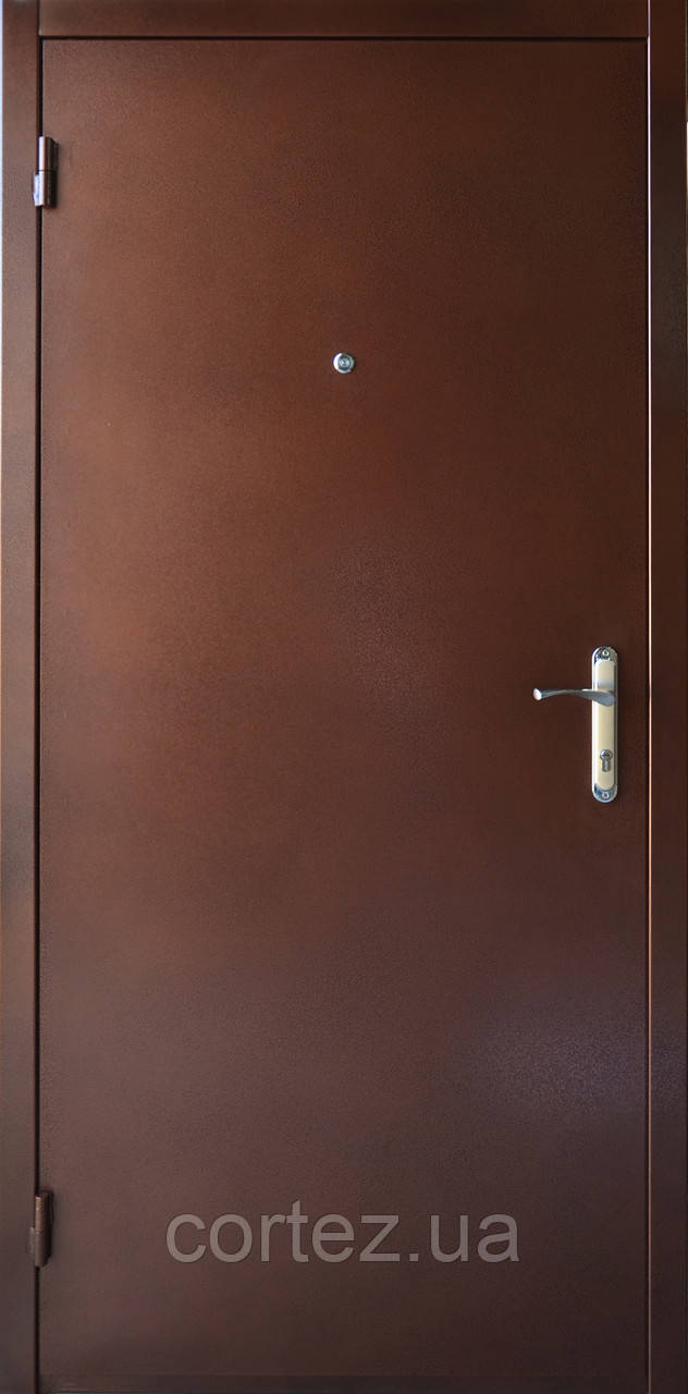 Двери входные металл/дсп - фото 1 - id-p602343252