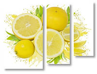 Модульная картина лимоны