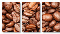 Модульная картина зерна кофе