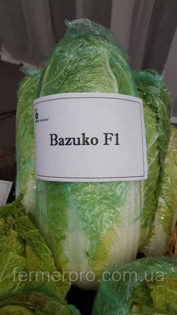 Насіння капусти пекінської Базуко F1/Bazuko F1 10000 насіння Bejo