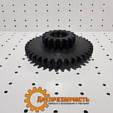 Шестірня 3 і 9 передачі ЮМЗ 45-1701116, фото 2