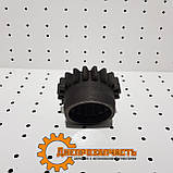 Шестірня 3 передачі ЮМЗ тягова Z = 20 45-1701059, фото 5