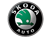 Хром накладки SKODA