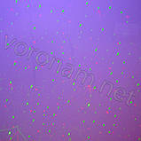 Лазерний відлякувач птахів laser display system, фото 3