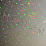 Лазерний відлякувач птахів laser display system, фото 4