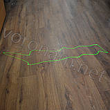 Лазерний відлякувач птахів laser display system, фото 6