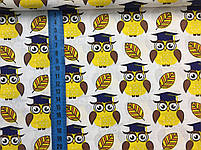 ΠΠΎΠ»ΡΡΡΠΊΠ° Π±ΡΠ·Ρ "Π‘ΠΎΠ²ΠΈ ΠΆΠΎΠ²ΡΡ Π½Π° Π±ΡΠ»ΠΎΠΌΡ", ΡΠΎΡΠΎ 2