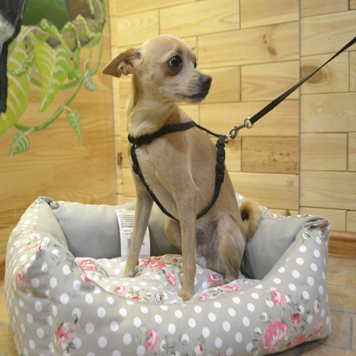 Trixie TX-38231 Rose Bed лежак для собак і кішок 55 × 45 cm, фото 1