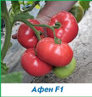 Насіння томату Афен F1 (Clause) 250 насіння — раннє (70 днів), РОСОВИЙ, круглий, індитермінантне.