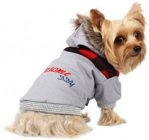 Куртки, комбінезони для собак