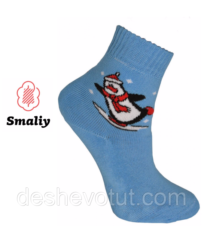 Шкарпетки дитячі махрові Смалій, г. Борежне 16-й розмір