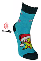 Шкарпетки дитячі махрові Смалій, г. Боржне 18 розмір