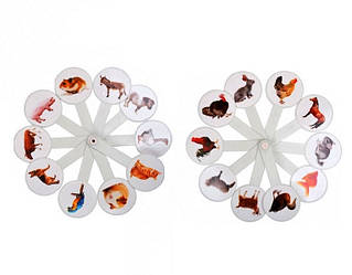 Віяло "Домашні тварини" Ірбіс