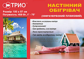 Настінний плівковий нагрівач (картина) НАТЮРМОРТ, Тріо Україна, фото 4