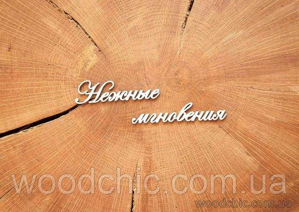 Чипборд "Ніжні миті"