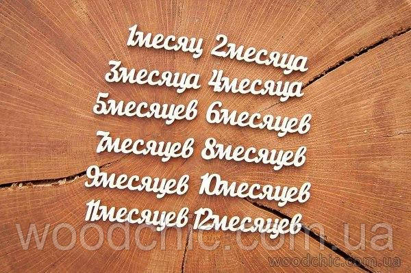 Чіпборд набір  "12 месяцев" рос.