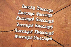 Чіпборд набір  "12 месяцев" укр.