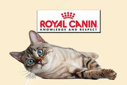 Корм для котів і кішок Royal Canin (ТОП ПРОДАЖІВ)