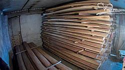 Обапіл Липовий ЕЛІТ (добірний)