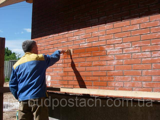 Висоли та боротьба з ними