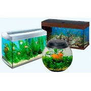 Корми для акваріумних риб