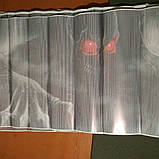 3д-наклейка на заднє скло авто, череп, фото 4