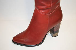 Червоні жіночі чоботи Vanilla, фото 2