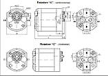 Насос шестерневий Caproni 10A(C)...X054, фото 3