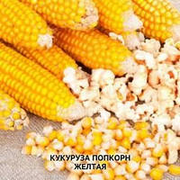 Насіння кукурудзи попкорн жовтий 1 кг, Україна