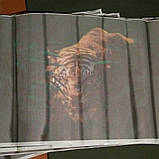 Символ 2022г Тигр. Автонаклейка на скло, фото 3