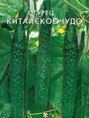 Насіння огірків " Китайське диво" 1 кг, Польща