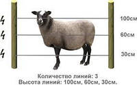 Электропастух Corral NA200 для овец (комплект на 500 м в 3 линии проводника)