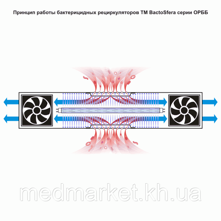 Бактерицидний рециркулятор BactoSfera ORBB 15х2 - фото 4 - id-p605830712