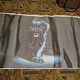 Наклейка на заднє скло автомобіля 3D 130cm*70cm, фото 2