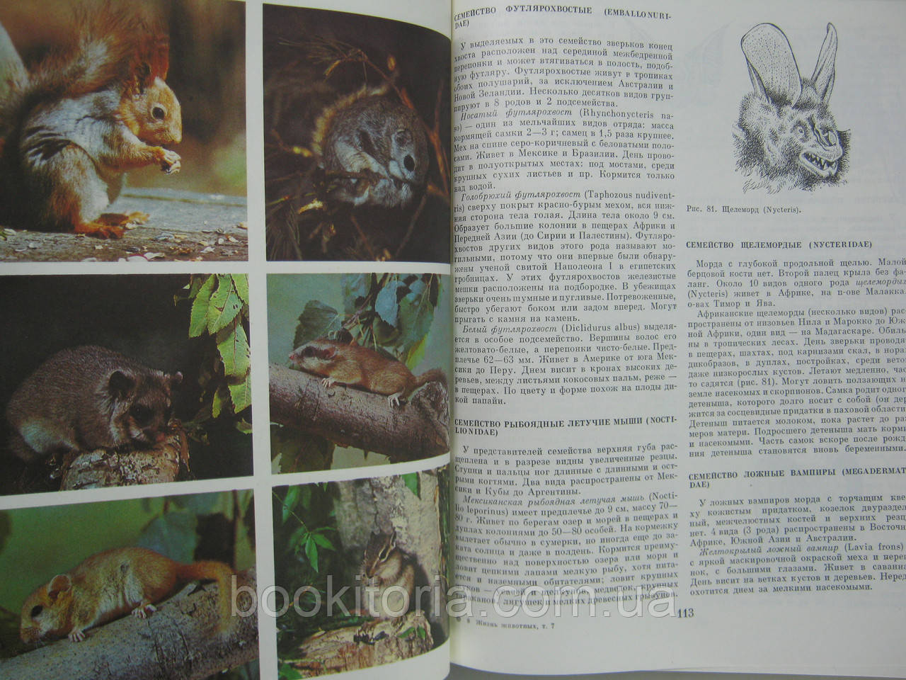 Жизнь животных. В семи томах (б/у). - фото 6 - id-p606227794
