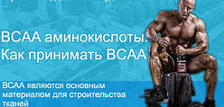 Харчування для спортсменів. Амінокислоти BCAA