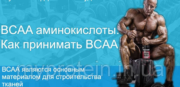 Харчування для спортсменів. Амінокислоти BCAA