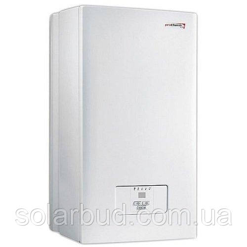 Котел електричний опалювальний настінний Protherm Ray (Скат) 21K