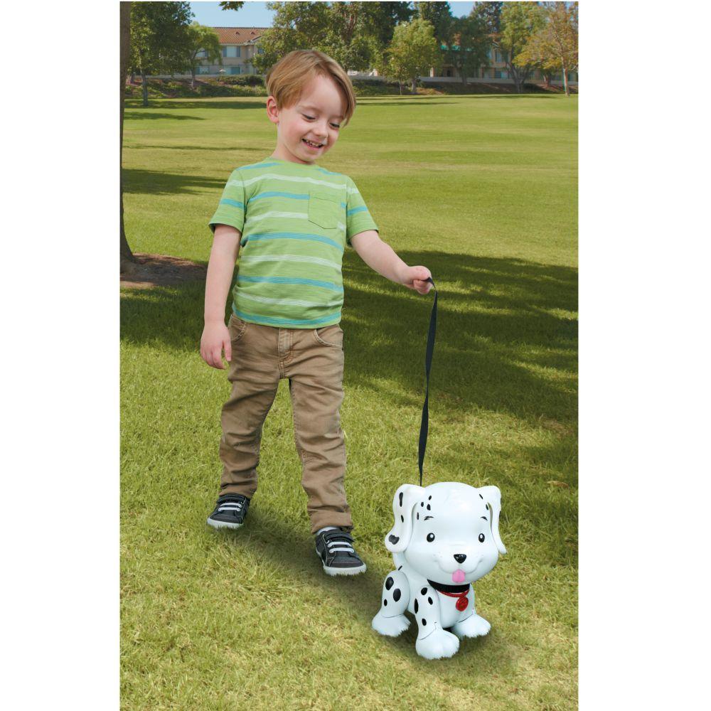 Little tikes swim to me sale puppy
