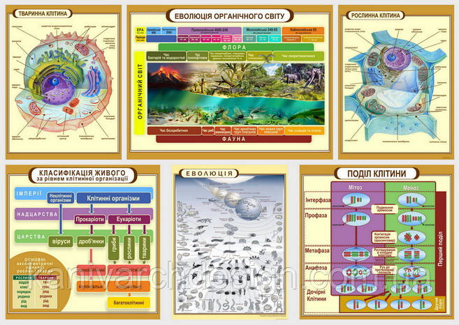 Плакати в кабінет БІОЛОГІЇ комплект 6шт