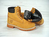 Черевики чоловічі Timberland 30575 світло-коричневі 36, 40, фото 5