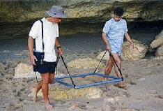 Глибинний металошукач Бульдозер