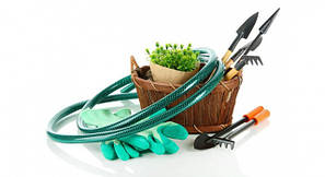 Сад і город